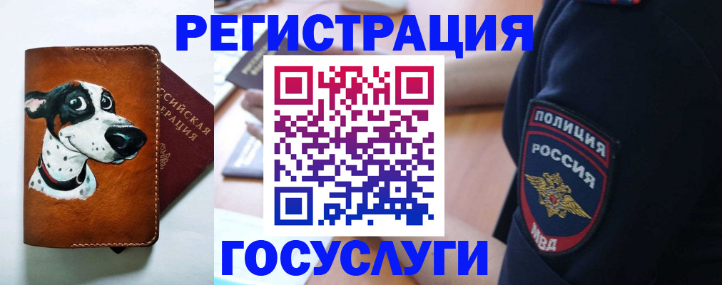 временная регистрация в квартире в Нижних Сергах